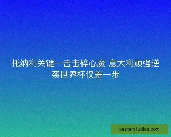 托纳利关键一击击碎心魔 意大利顽强逆袭世界杯仅差一步