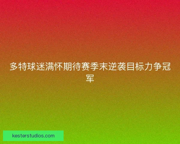 多特球迷满怀期待赛季末逆袭目标力争冠军