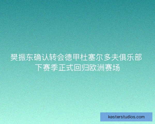 樊振东确认转会德甲杜塞尔多夫俱乐部 下赛季正式回归欧洲赛场